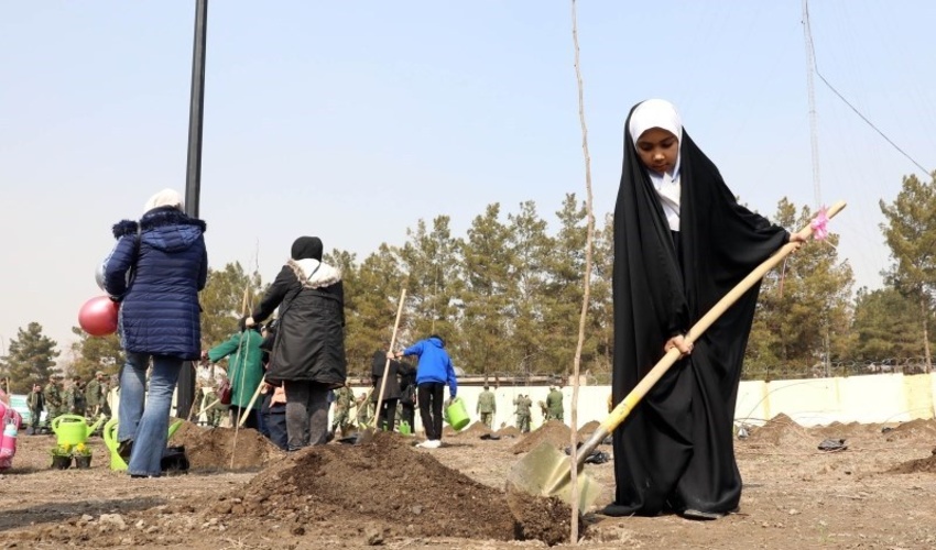 غرس 12 میلیون اصله نهال در اردبیل