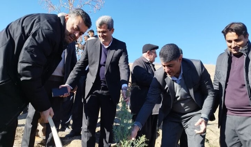 کردستان/ غرس 1000 اصله درخت در پارک جنگلی توس نوذر سنندج