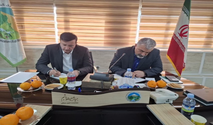  تاکید بر حفاظت و توسعه پایدار جنگل‌های هیرکانی در نشست تخصصی