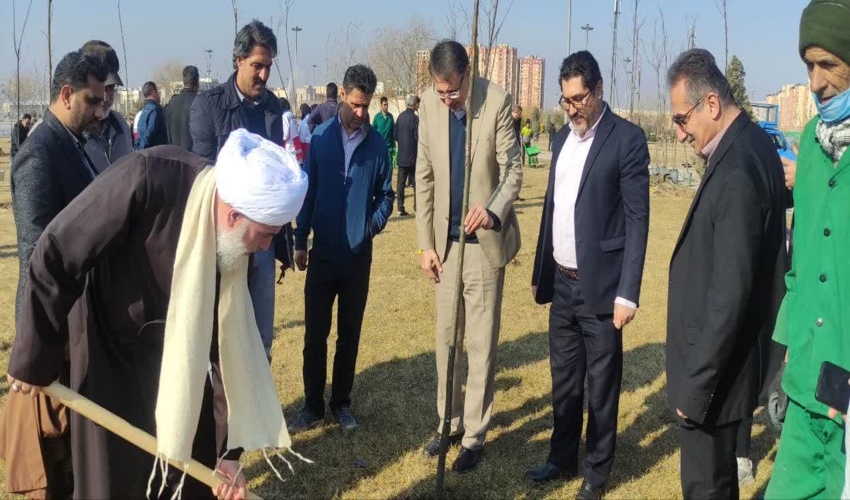 قزوین/ کاشت هزار اصله نهال در پویش مردمی " در سایه پدر "