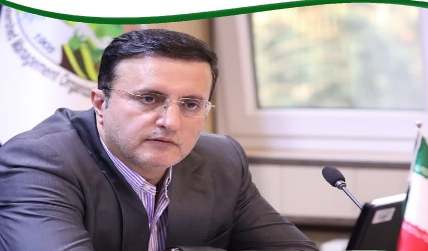 تیموری معاون وزیر و رئیس سازمان منابع طبیعی شد