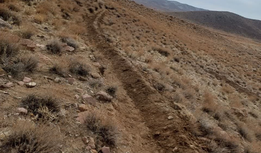 کرمان/ آغاز اجرای پروژه بیومکانیک در سطح 200هکتار از مراتع سیرجان