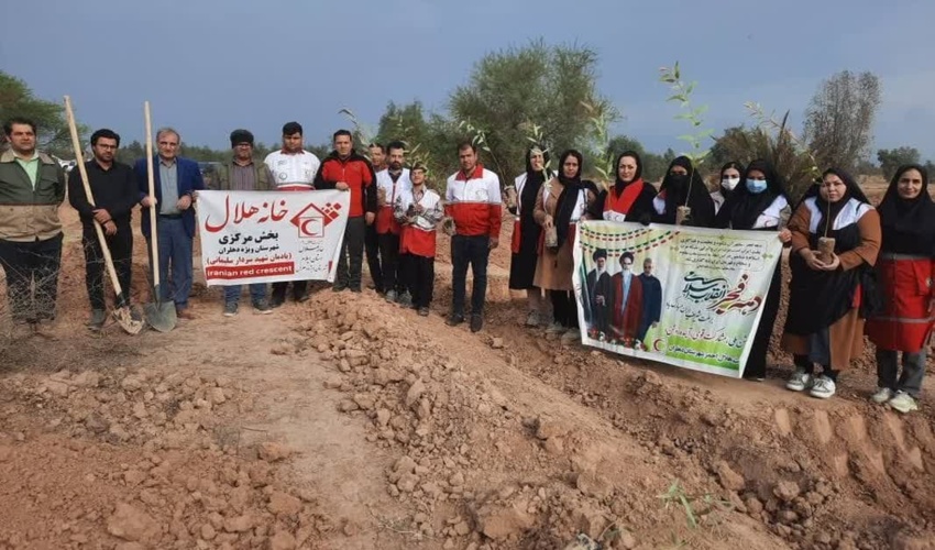 ایلام/ 300 اصله درخت در پارک جنگلی شهید باهنر دهلران غرس شد