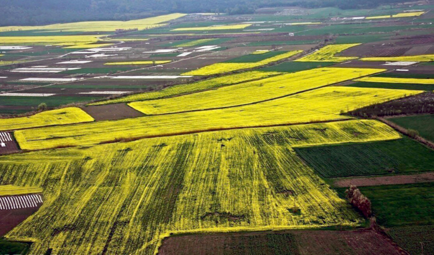 خوزستان/ 200 هزار هکتار از اراضی منابع طبیعی دزفول ممیزی شد