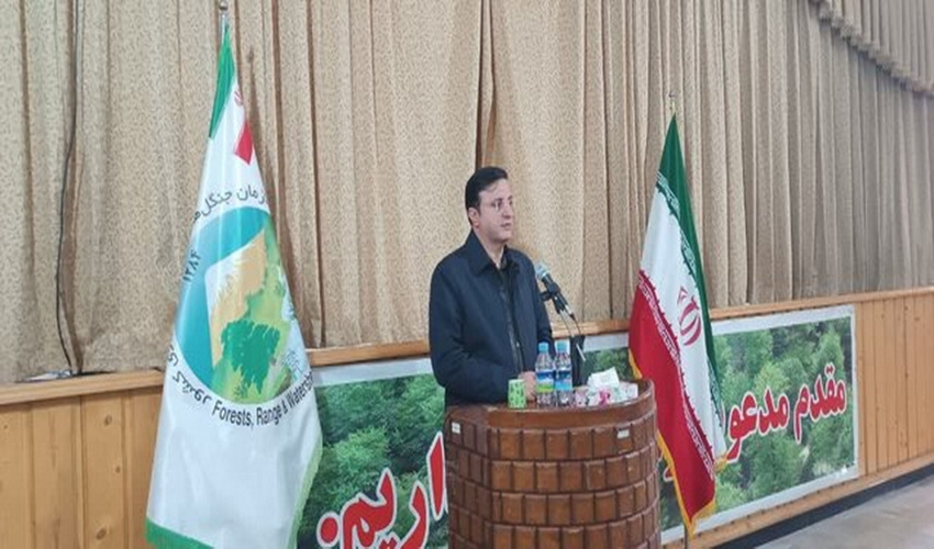 رئیس سازمان منابع طبیعی: مدیریت پایدار عرصه‌های جنگلی با روش‌های سنتی امکان‌پذیر نیست