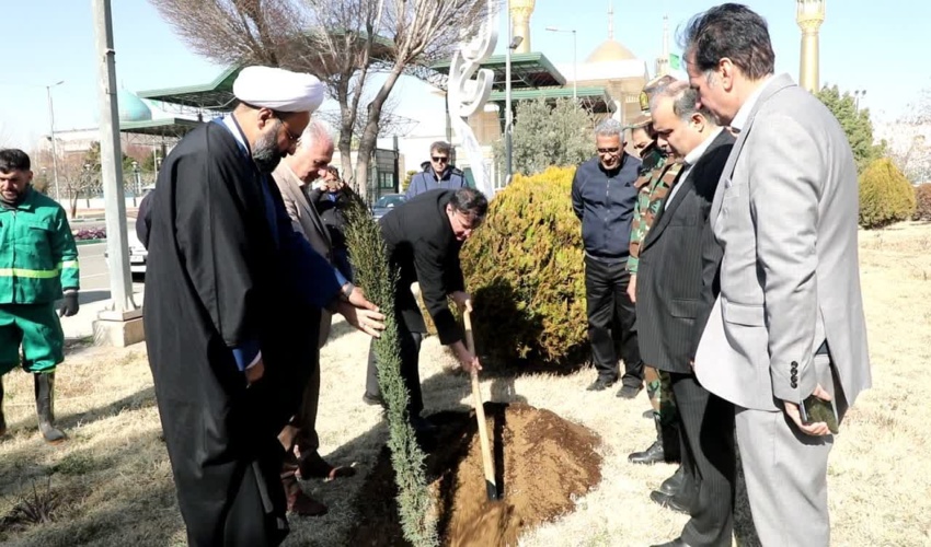 کاشت 10 میلیون  نهال در هفته منابع طبیعی 