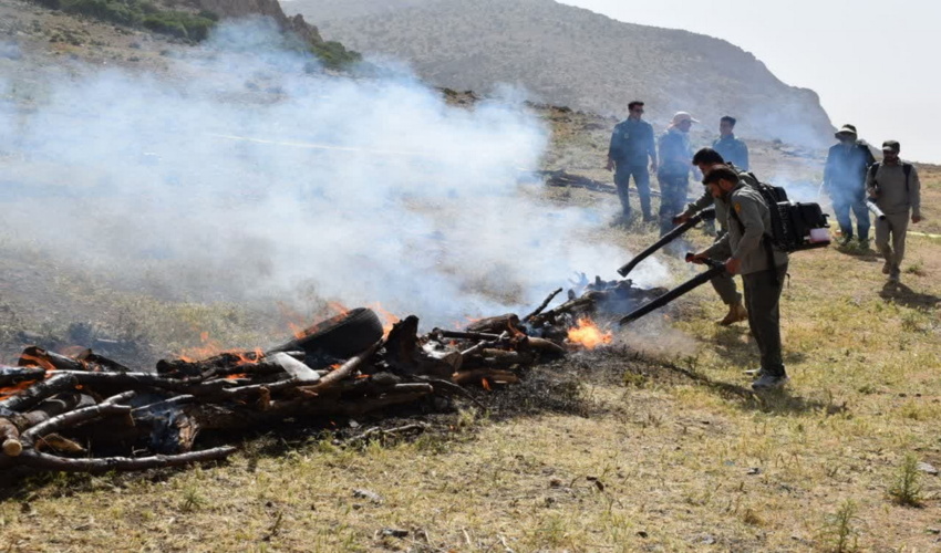 گزارش تصویری/ اجرای مانور بزرگ آمادگی برای اطفای حریق در جنگل ها و مراتع استان کرمانشاه 