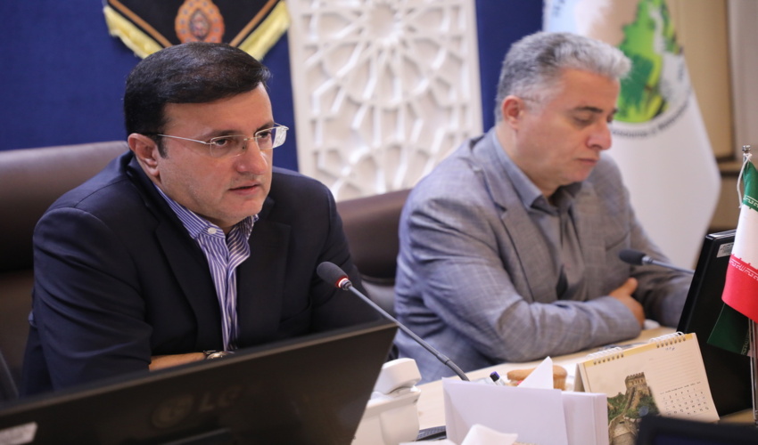 کاشت یک میلیارد درخت از برنامه های مهم سازمان منابع طبیعی است