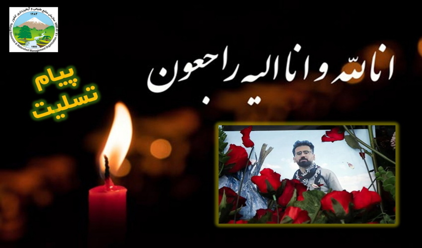  پیام تسلیت سازمان منابع طبیعی و آبخیزداری کشور در پی درگذشت «حمید مرادی»