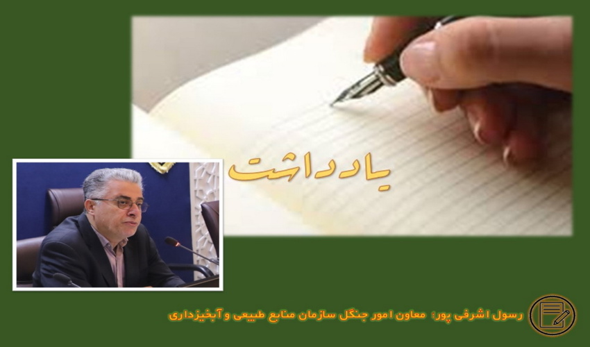 یادداشت/ " بهای سنگین تصویب نامه شورای عالی اداری مصوب 1404/5/11 در حوزه حکمرانی منابع طبیعی"