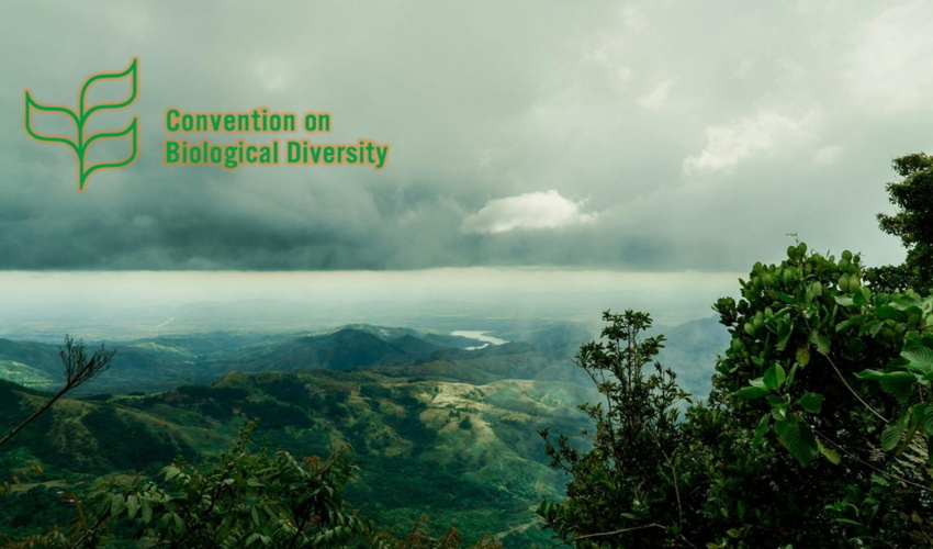 هوش مصنوعی، چالش‌ها و فرصت‌ها برای حفاظت از تنوع زیستی