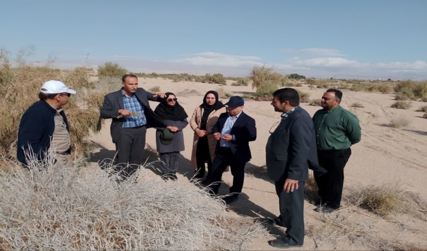 اجرای پایلوت موفق مهارگر زیستی، راهبردی نوین برای نجات تاغزارهای کشور