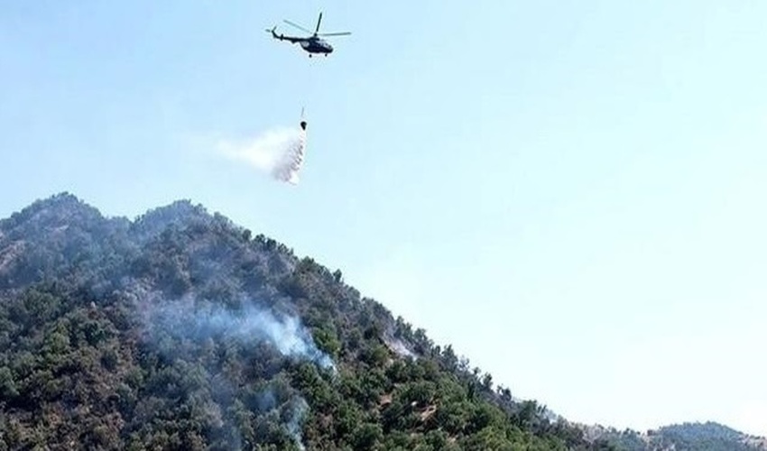 عملیات اطفای حریق جنگل‌های الیت چالوس بدون وقفه ادامه دارد