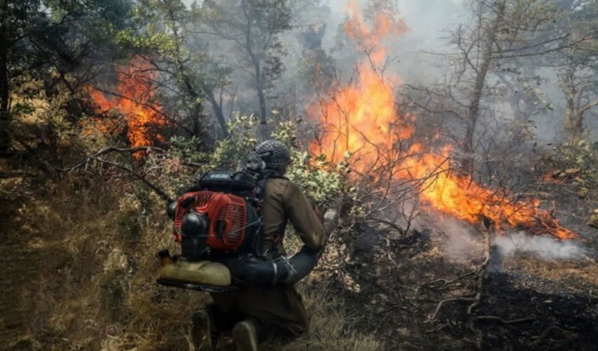 9 هکتار از جنگل‌های گیلان درگیر حریق شد