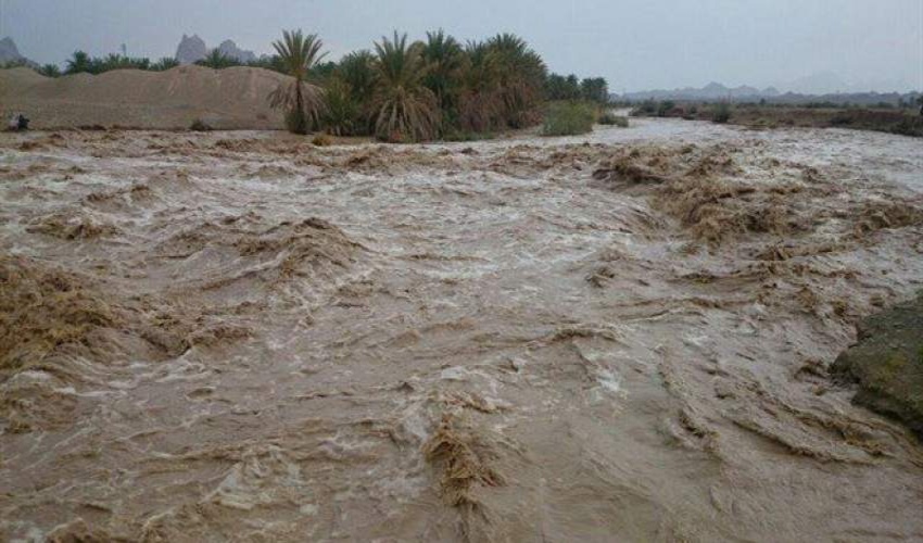 رئیس اداره منابع طبیعی و آبخیزداری خاش مطرح کرد: بارش‌ها فرصتی طلایی برای احیای منابع طبیعی