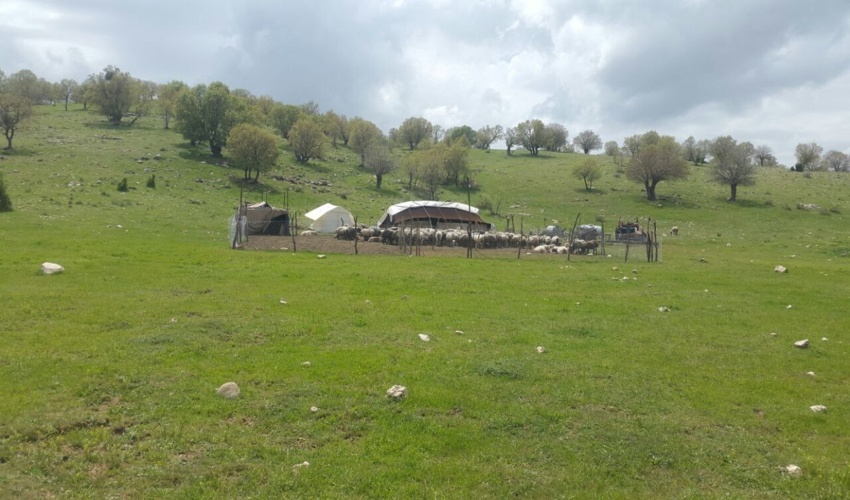 دلنوشته یک مرتعدار نمونه