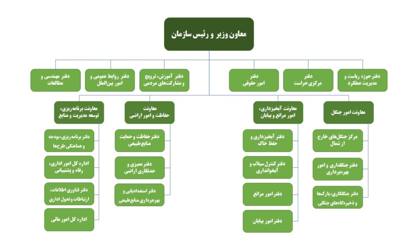 ساختار تشکیلاتی