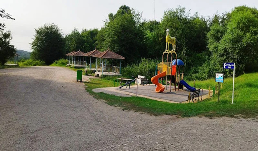 پارک‌های جنگلی