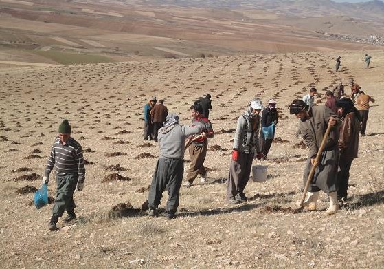 ابلاغ  آيين نامه اجرايي بند ب ماده 29 به ادارات كل منابع طبيعی كشور